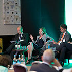 Sovereign green bonds panel