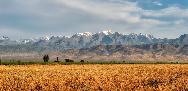 Încurajarea emisiunilor de obligațiuni ecologice și durabile pe piețele emergente: concentrarea asupra sectorului real din Kazahstan, România și Uzbekistan :: Environmental Finance