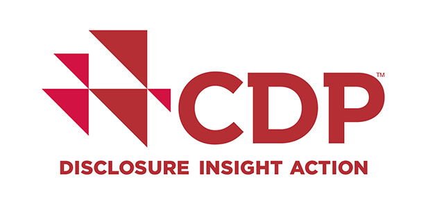 Technical Manager, Financial Services, CDP Worldwide