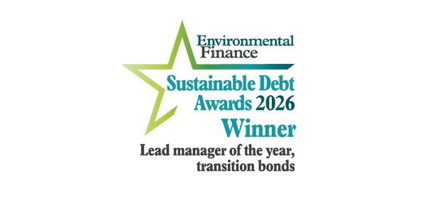 Lead manager of the year, transition bonds: Nomura