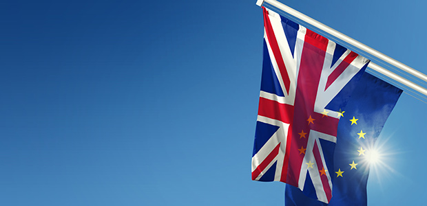 UK sustainability disclosure rules will be 'quite different' from EU