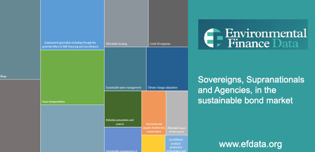 Sovereigns, Supranationals and Agencies (SSA) in the sustainable bond market