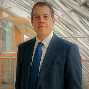 Bruno Maradei